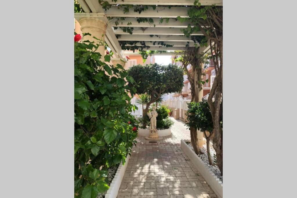 Beach Dream Apartment La Mata  Bagian luar foto
