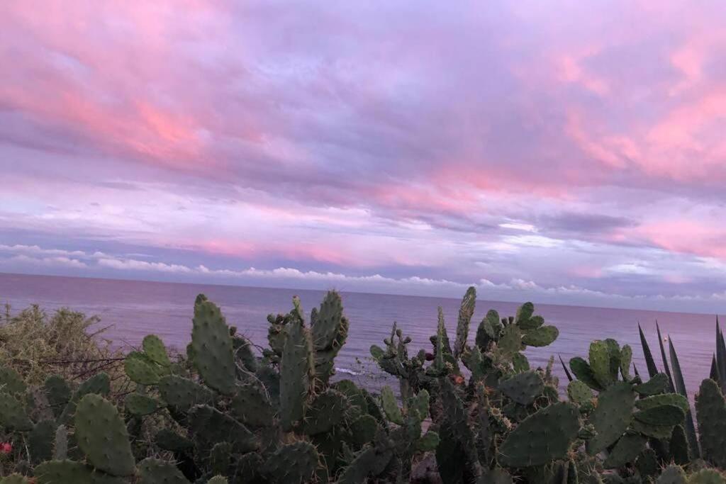 Beach Dream Apartment La Mata  Bagian luar foto